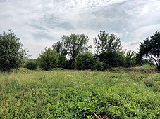 min 1167 4.jpg min 1167 4.jpg